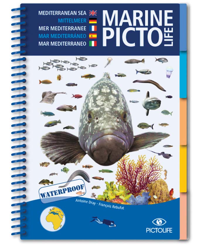 Guides marine pictolife - imagine 3