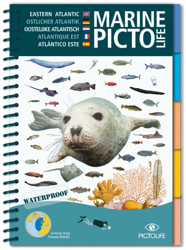 Guides marine pictolife - imagine 2