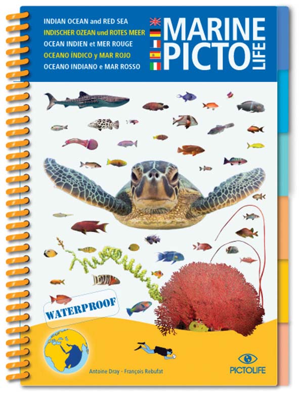 Guides marine pictolife - imagine 4