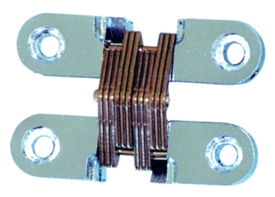 Flush-fit concealed hinge