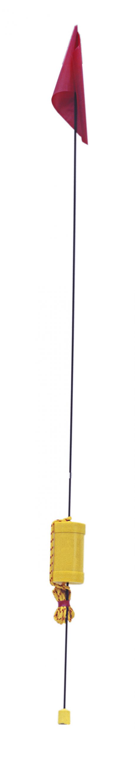 Inshore dan buoy